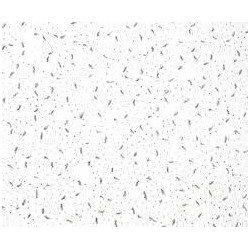 TAVAN CASETAT ECOMIN TRENTO SK