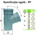 RAMIFICATIE EGALA PP - 110 x 45 (D x a)