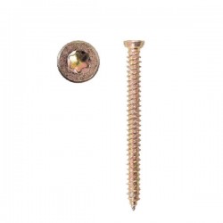 SURUB MONTAJ PROFIL CAP TORX