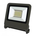 PROIECTOR LED 30 W SMD 6400K 03032
