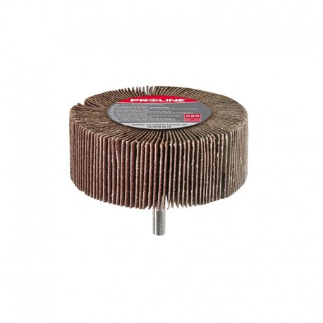 PERIE ABRAZIVA LAMELARA 60 X 30 MM GR 60 RPX 44832