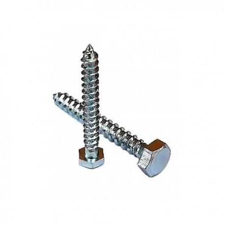 HOLSURUB CAP HEXAGONAL 10 X 80 DIN 571