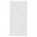 FAIANTA PALAZZO LIGHT GREY 30 X 60 CM 4618