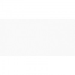 FAIANTA COLORLINE ALB MAT 2051-0153 II 25 X 50 CM