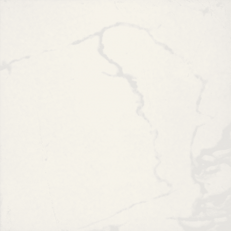 GRESIE ADONIS WHITE MATT 45 X 45 CM