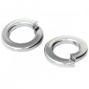 SAIBA ELASTICA GROWER - M8