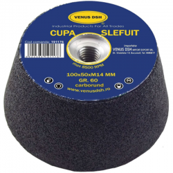 PIATRA OALA SLEFUIT / CUPA SLEFUIT