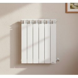 ELEMENT CALORIFER AL SOLAR 600/80