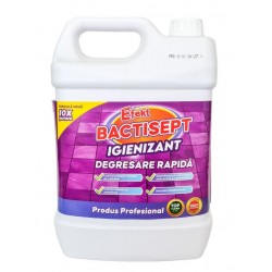 EFEKT DEZINFECTANT PIN FRESH 5 L