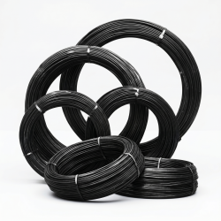 SARMA NEAGRA
