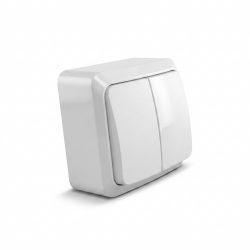 INTRERUPATOR DUBLU PT ECO PREMIUM 85735